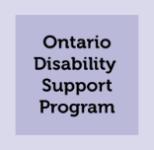 ontario disability support program
